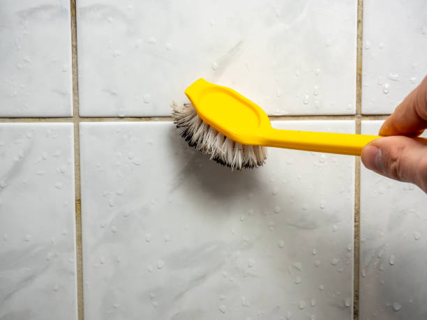 Best Mold Removal Process  in Archer, FL