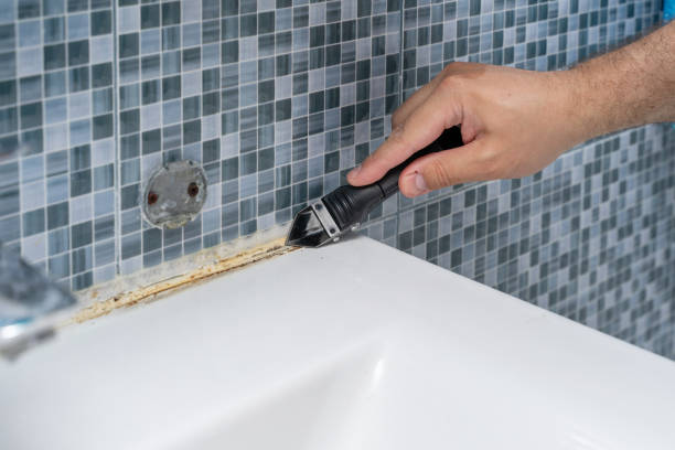 Best Toxic Mold Removal  in Archer, FL